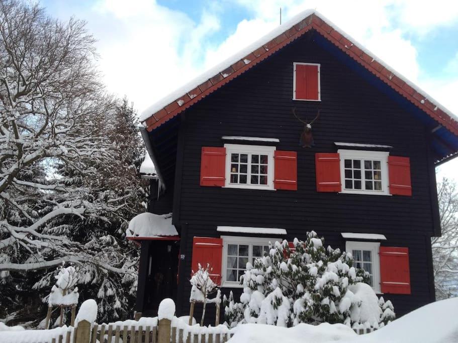 Villa Herzog - Ferienhaus Fuer 6 Personen In Braunlage, Harz Exteriör bild